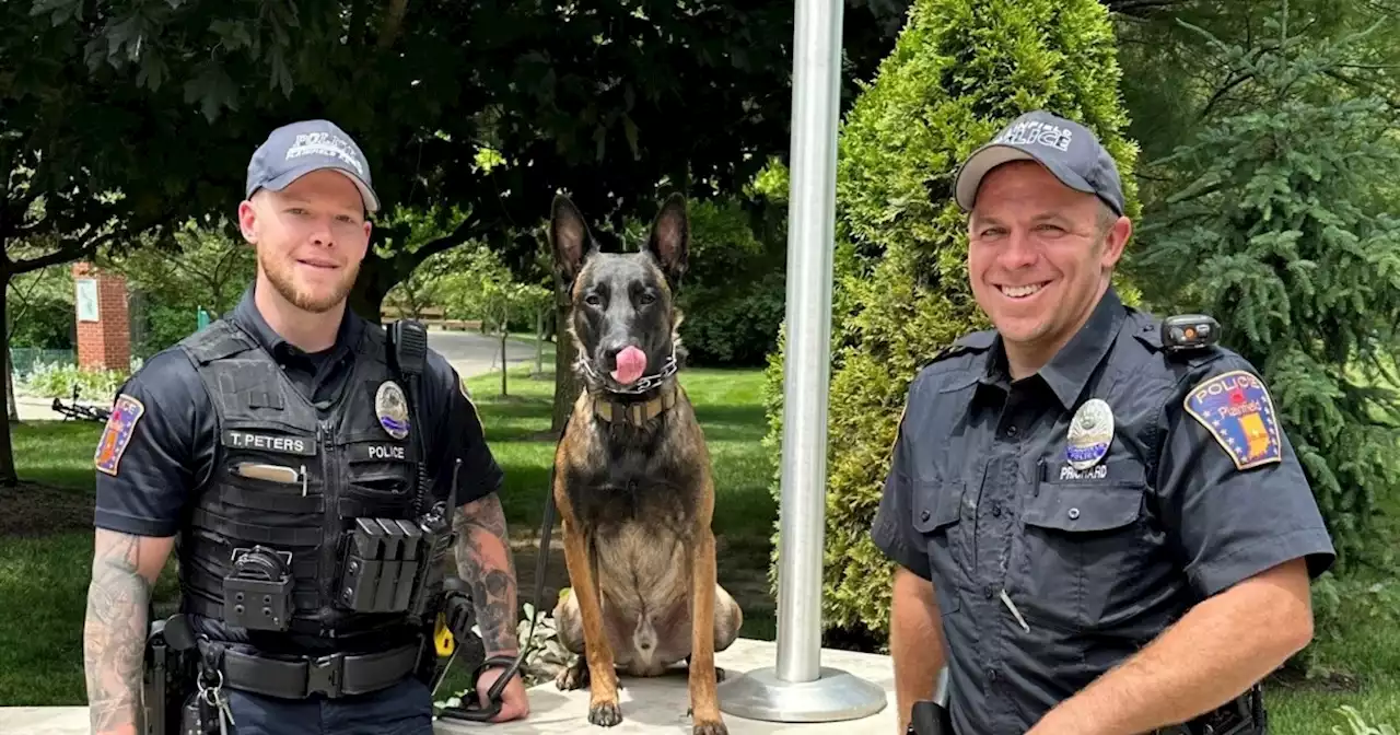 Plainfield PD adopts K9 from animal shelter, trains him to join the force