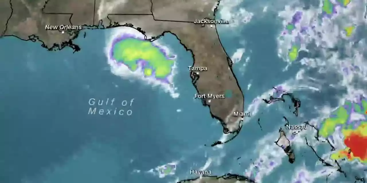 Tropical depression forms in Gulf of Mexico on 1st day of hurricane season