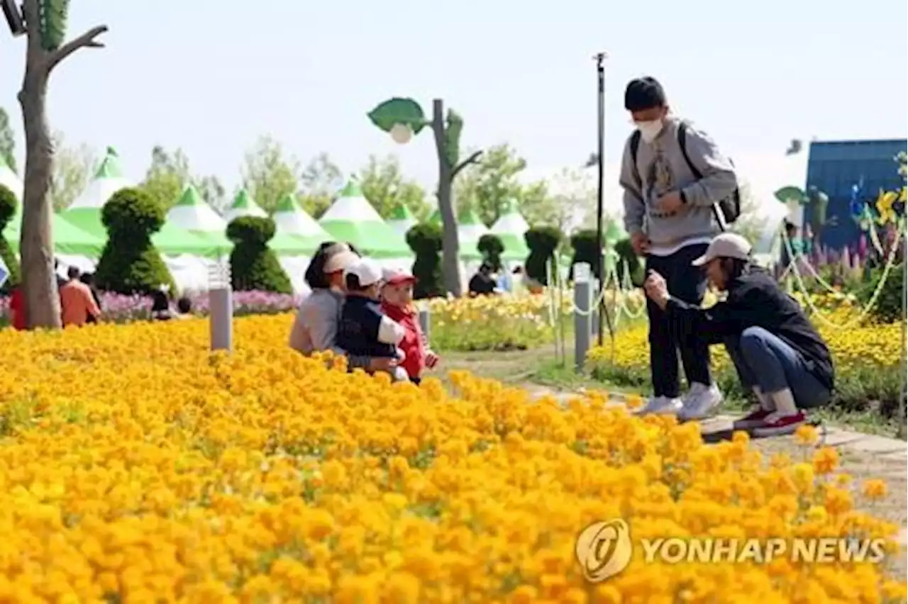 '축제장 어묵 한 그릇 1만원'…함평군 '바가지요금 사과' | 연합뉴스