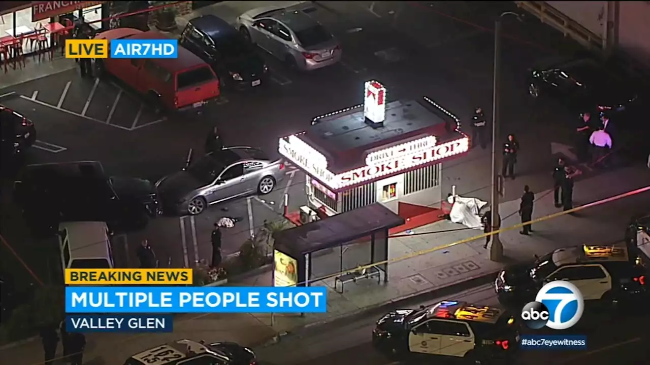 2 die in shooting following dispute outside smoke shop in Valley Glen