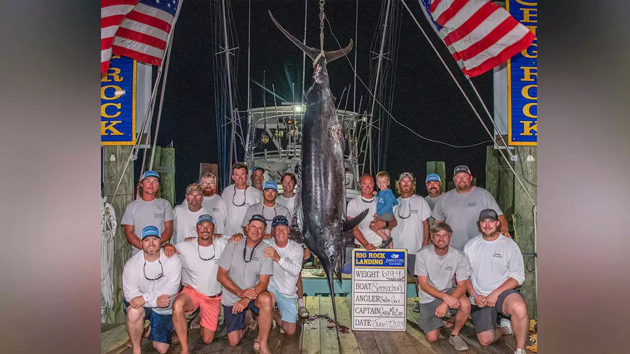 Big Rock Blue Marlin Tournament anglers miss out on $3M prize, disqualified because of 'mutilation'