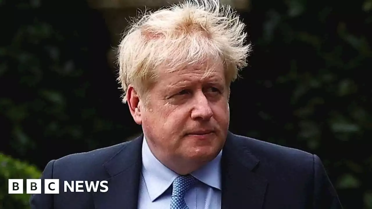 Boris Johnson: MPs back Partygate report as just seven vote against