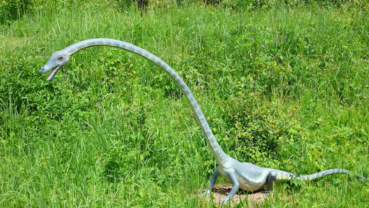 Saurier: Ein langer Hals konnte zum Verhängnis werden