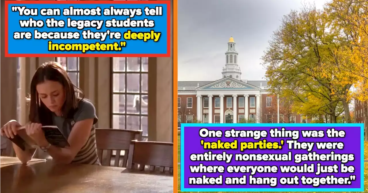 Ivy League Grads Are Getting Honest About Their Experiences At 'Elite' Colleges, And It's Wild