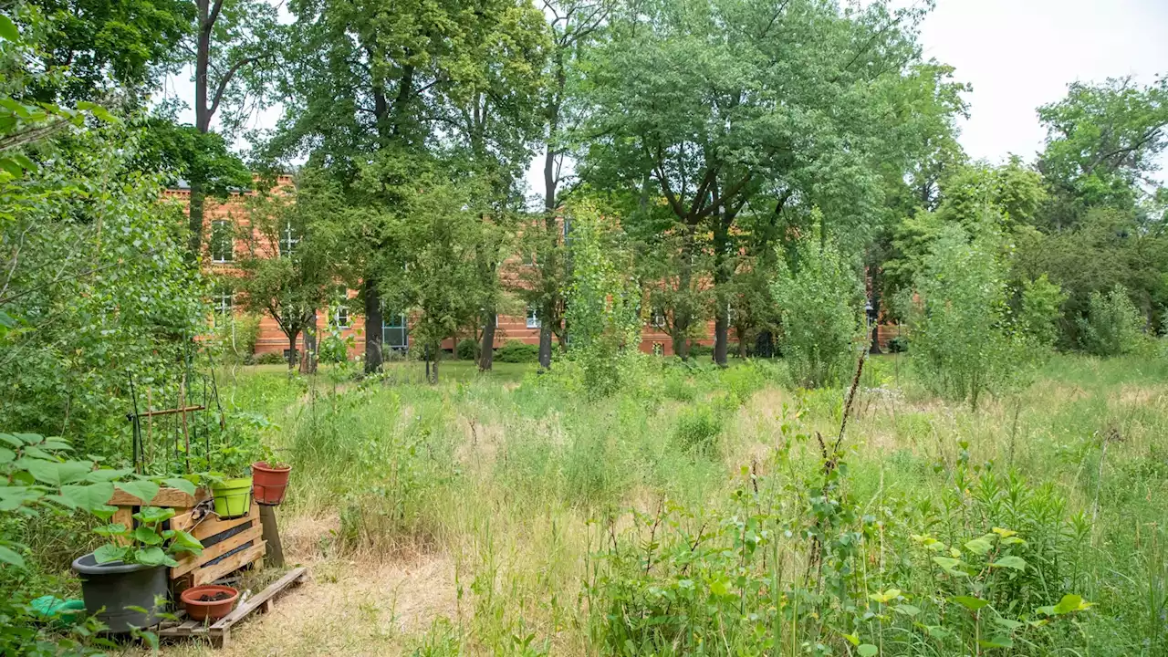 Wenckebach wird Ausbildungs-Campus für Gesundheitsberufe