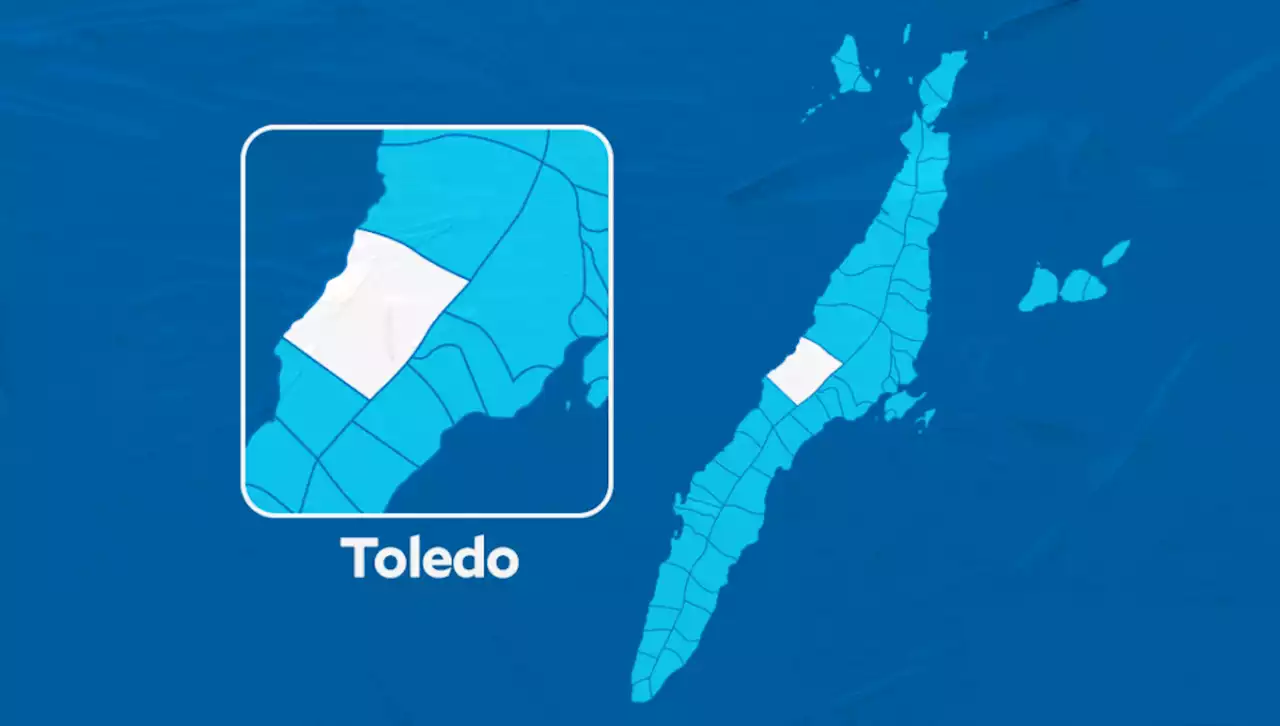 Woman robbed at gunpoint in Toledo City, Cebu