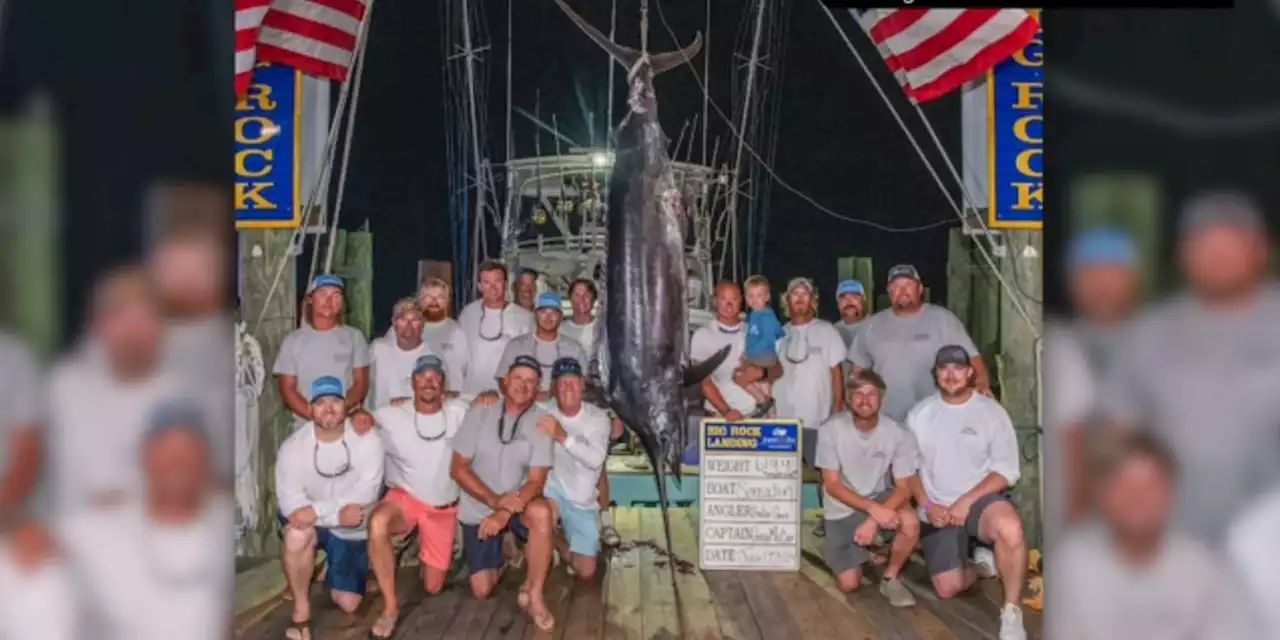 619-pound catch disqualified as first place winner of $3.5 million prize