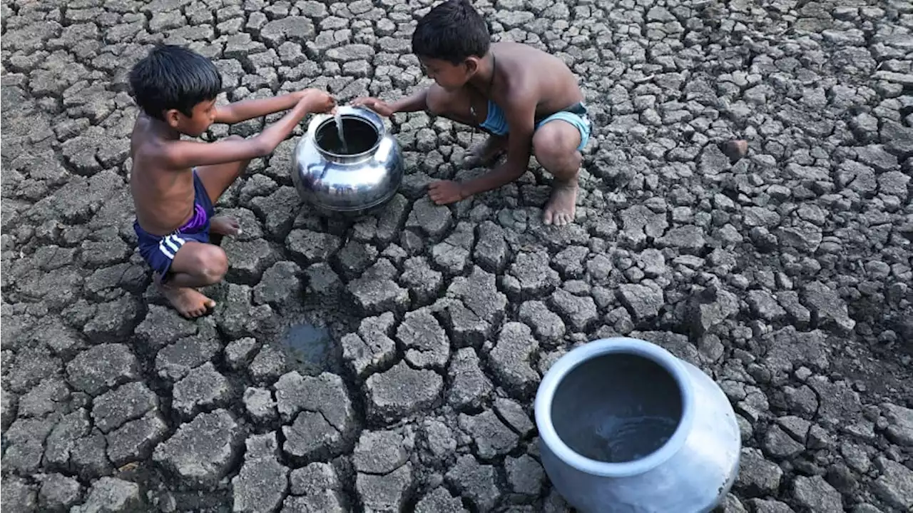 Mueren 44 personas en el estado indio de Bihar a causa de la ola de calor