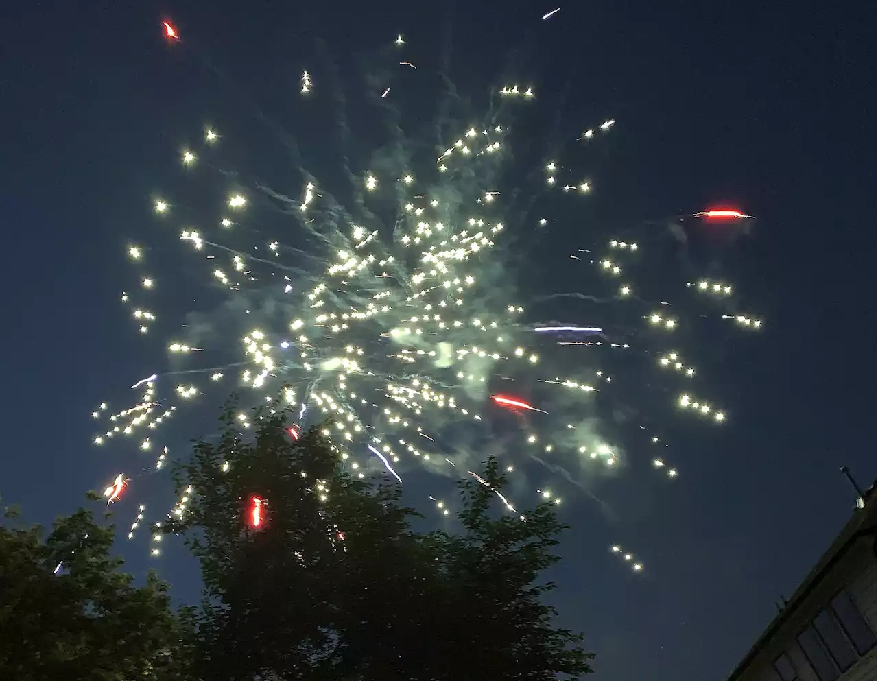 Daily Herald opinion: Let the pros handle the pyrotechnics this Fourth of July