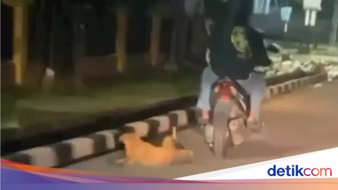 Viral Pemotor di Jambi Ikat dan Seret Anjing, Polisi Selidiki