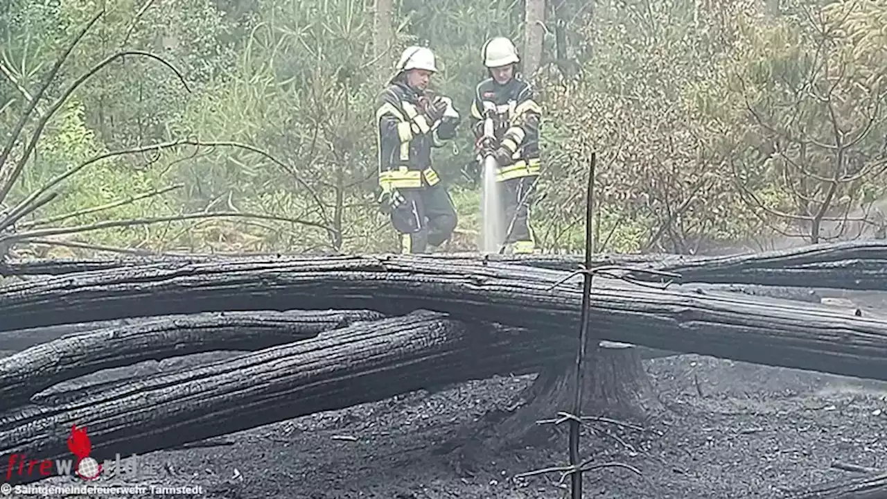 D: Feuer an mehreren Stellen bei Waldbrand in Kirchtimke