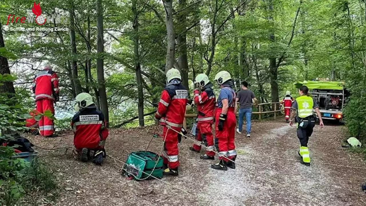 Schweiz: Kleines Kind stürzt bei Zürich einen Abhang hinunter