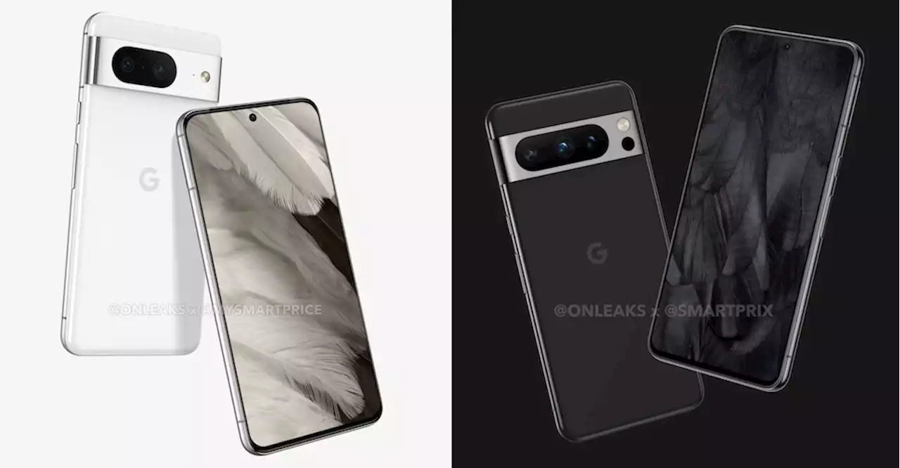 เผยสปกจอแสดงผล Google Pixel 8 และ Pixel 8 Pro พร้อมเทียบกับ Pixel 7