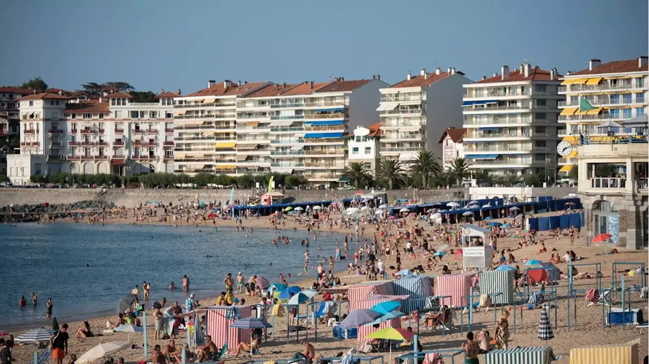 Algues toxiques au Pays Basque : 'C'est un phénomène qui pourrait s'aggraver dans les prochaines semaines' , prévient l'Anses