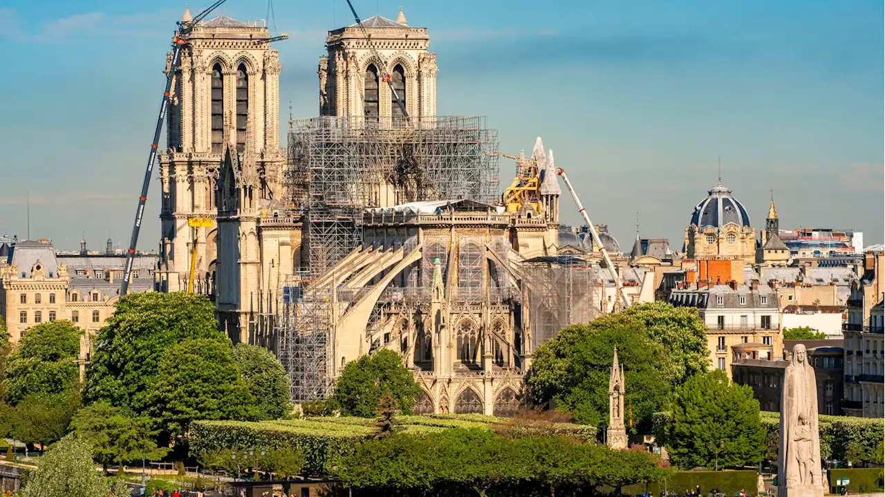 Restauration des jardins de Notre-Dame de Paris : la colère monte aux abords de la cathédrale