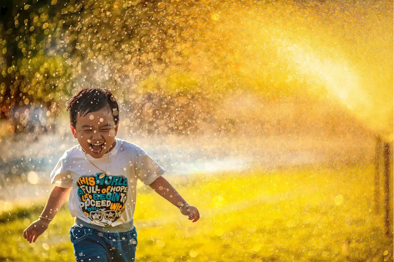 Yellow Day: ¿Por qué se dice que hoy es el día más feliz del año?