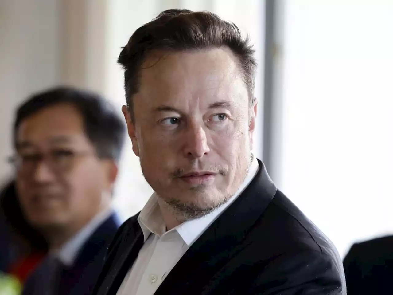 Musk ha ragione: servono più figli e non immigrati