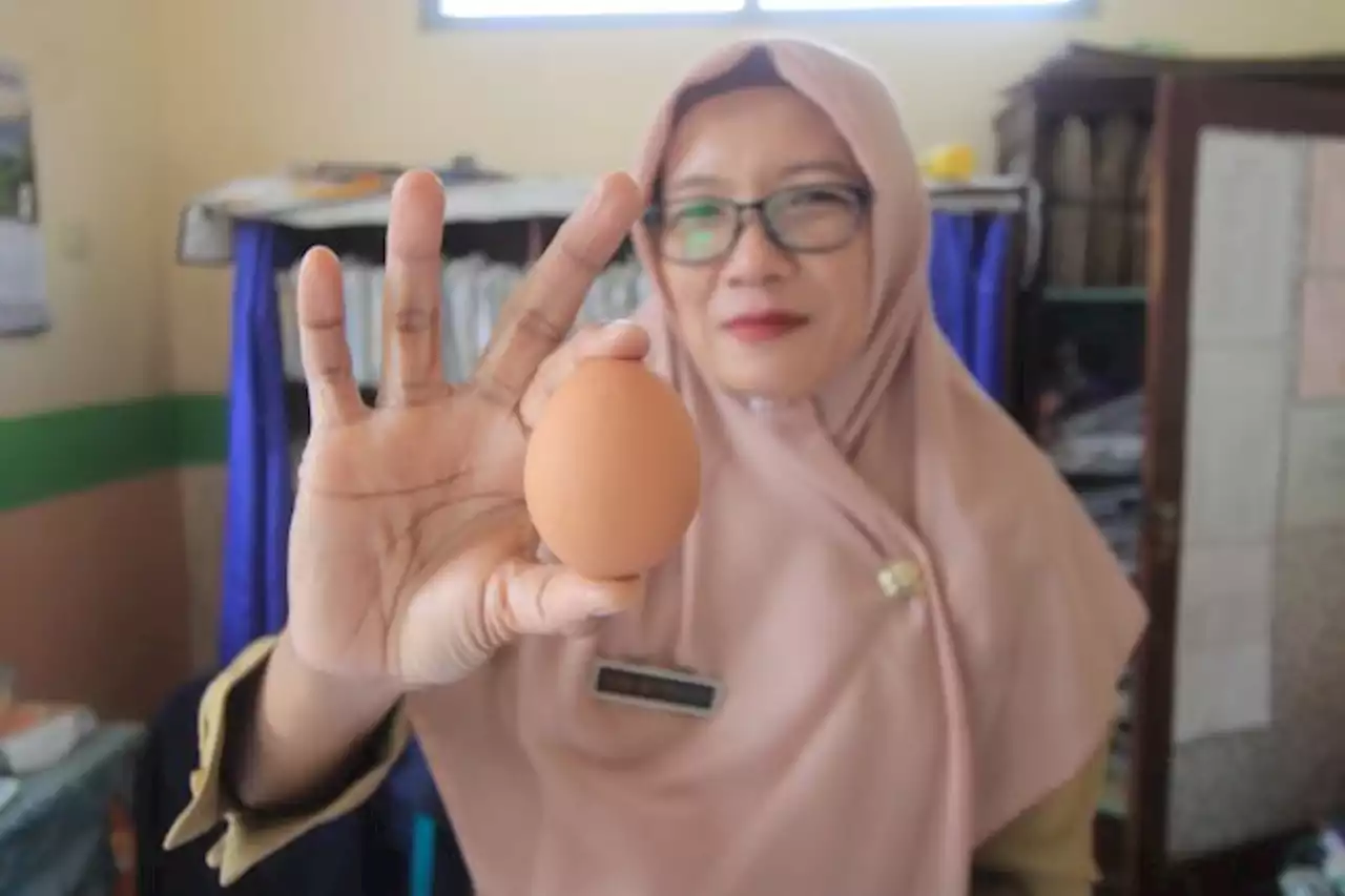 Donor Telur Ayam Cegah Stunting, karena Sebutir Begitu Berharga