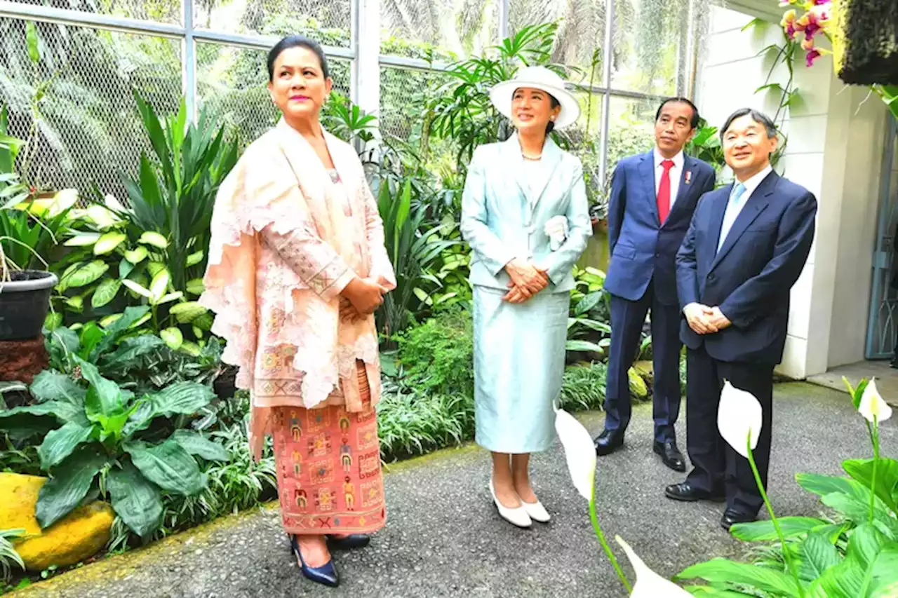 Presiden Jokowi Bertemu Kaisar Jepang Naruhito, Kenalkan Taman Anggrek dan Ikan Arwana Merah - Jawa Pos