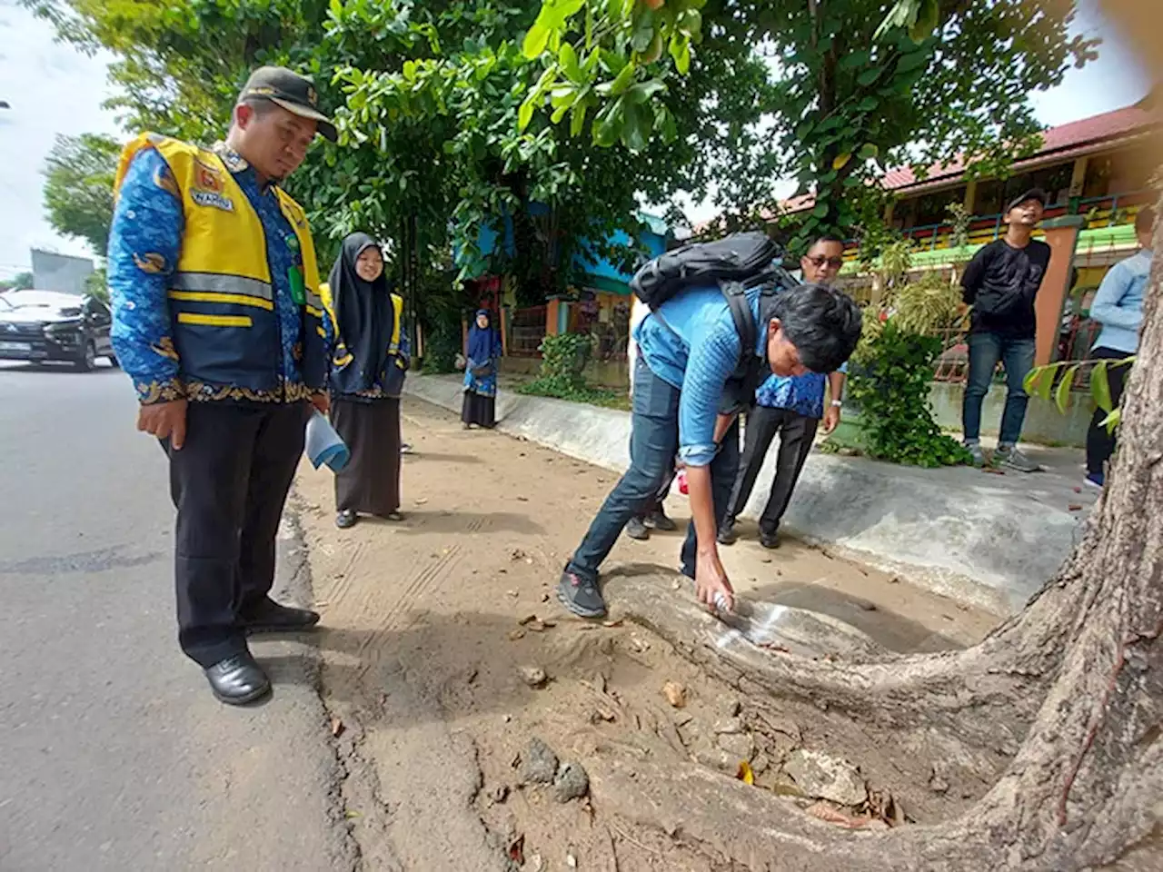 Sejumlah Pohon di Jalan Panglima Batur Bakal Ditebang Untuk Pedestrian