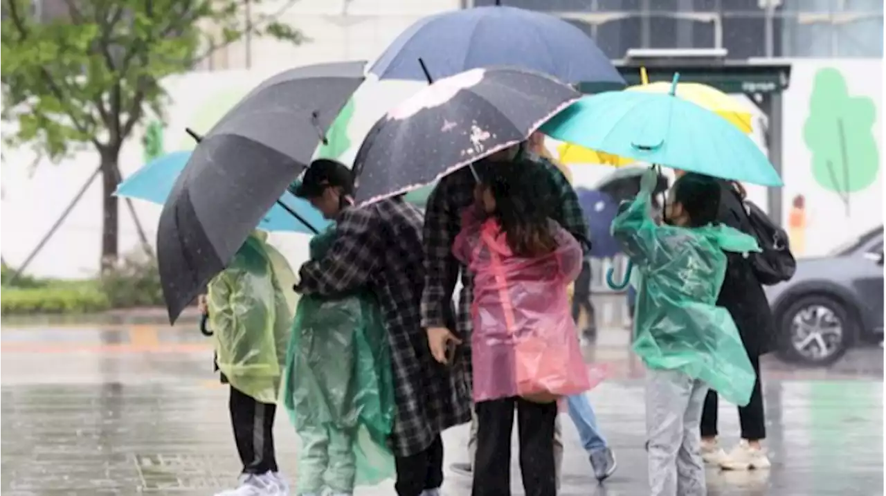 오늘 밤부터 천둥·번개 '요란한 비'…이번 주말 제주엔 장마 온다 | 중앙일보