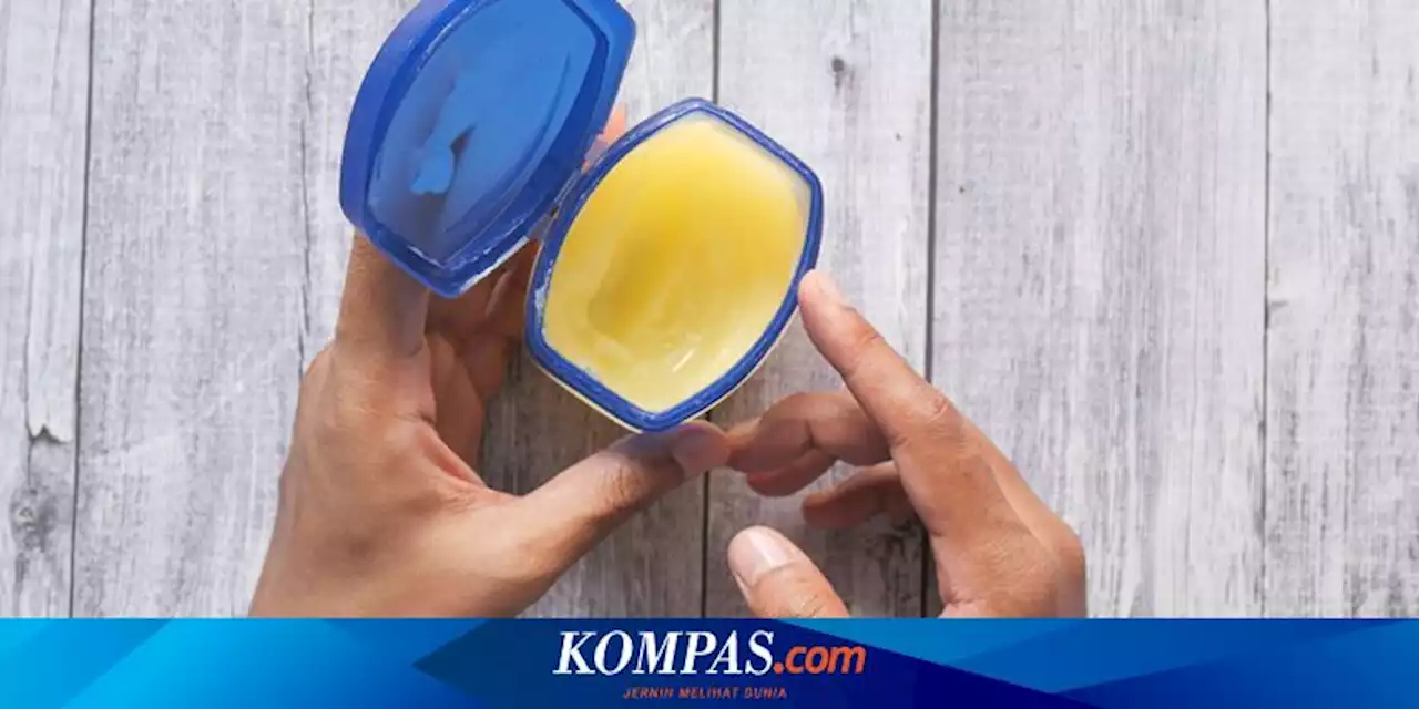 6 Cara Membasmi Hama di Rumah dan Tanaman Pakai Petroleum Jelly