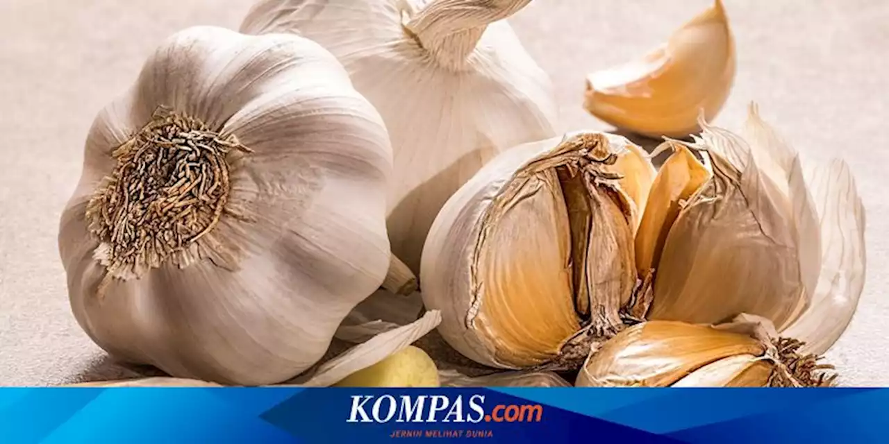 Cara Membuat Pestisida Nabati dari Bawang Putih dan Menggunakannya