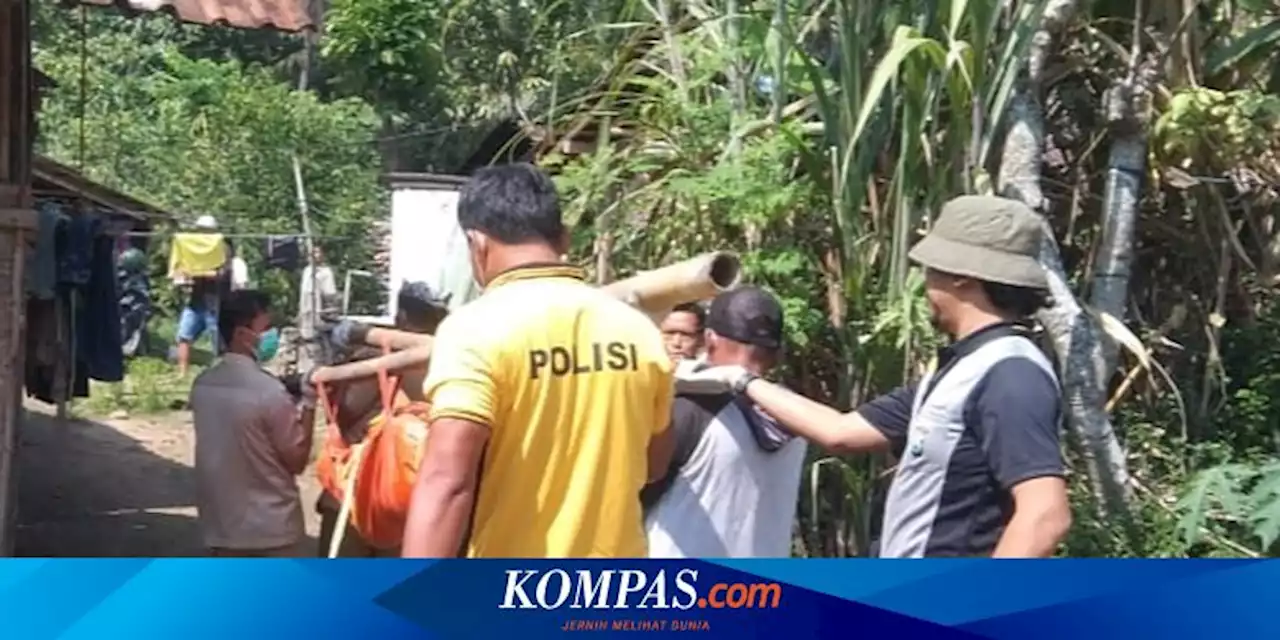 Pencari Tawon di Banyuwangi yang Hilang Ditemukan Tewas, Tubuhnya Terdapat Sejumlah Luka