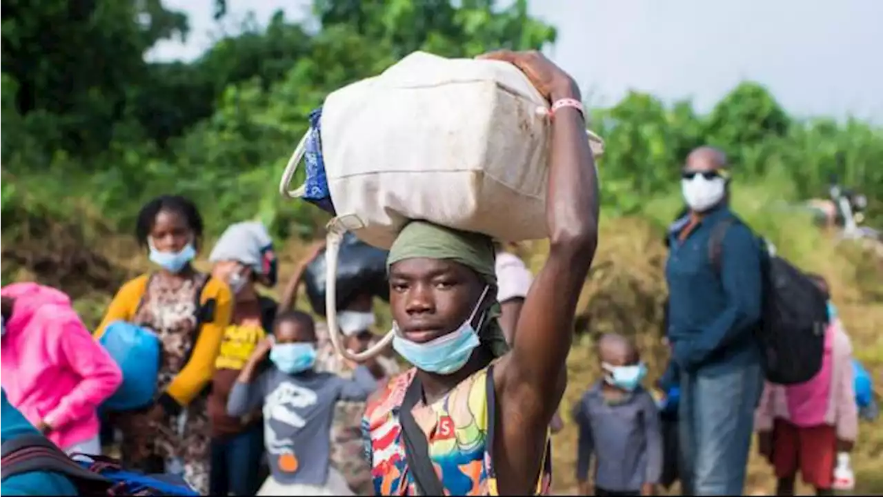 Hari Pengungsi Sedunia 20 Juni, UNHCR Catat Ada 100 Juta Lebih Pengungsi per Mei 2022