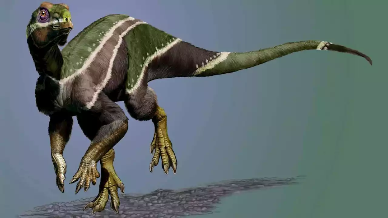 New dinosaur species found in Utah helps researchers piece together Earth's history