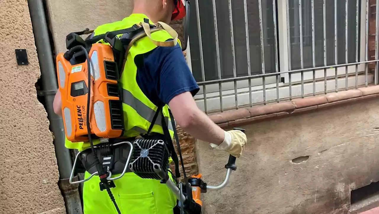 Toulouse : pourquoi on coupe les herbes dans les rues malgré la demande de végétalisation