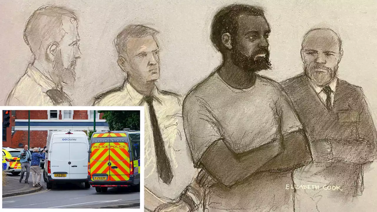 Nottingham attacks suspect Valdo Calocane appears in court as judge praises 'dignity' of victims' families