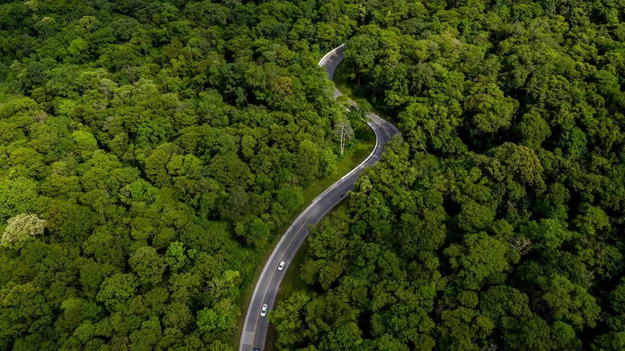 Les gérants fourmillent d'idées autour de la biodiversité