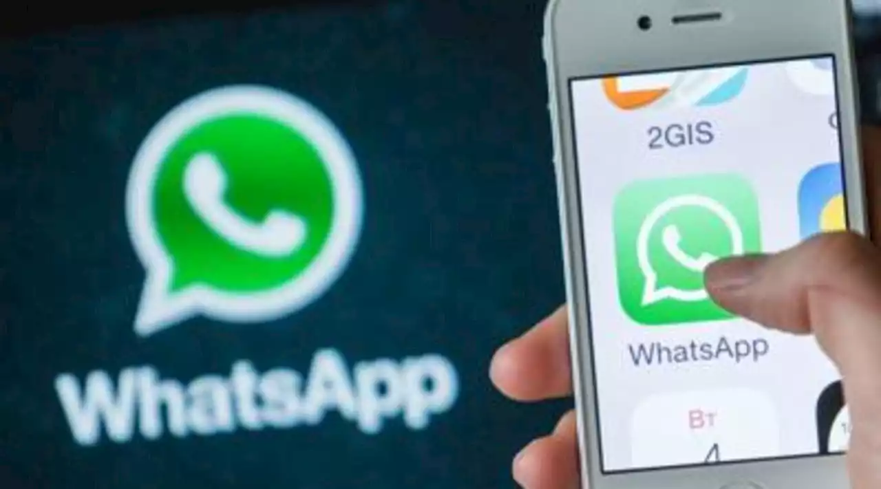 WhatsApp, ancora più privacy con 'silenzia le chiamate' e 'controllo': ecco cosa sono