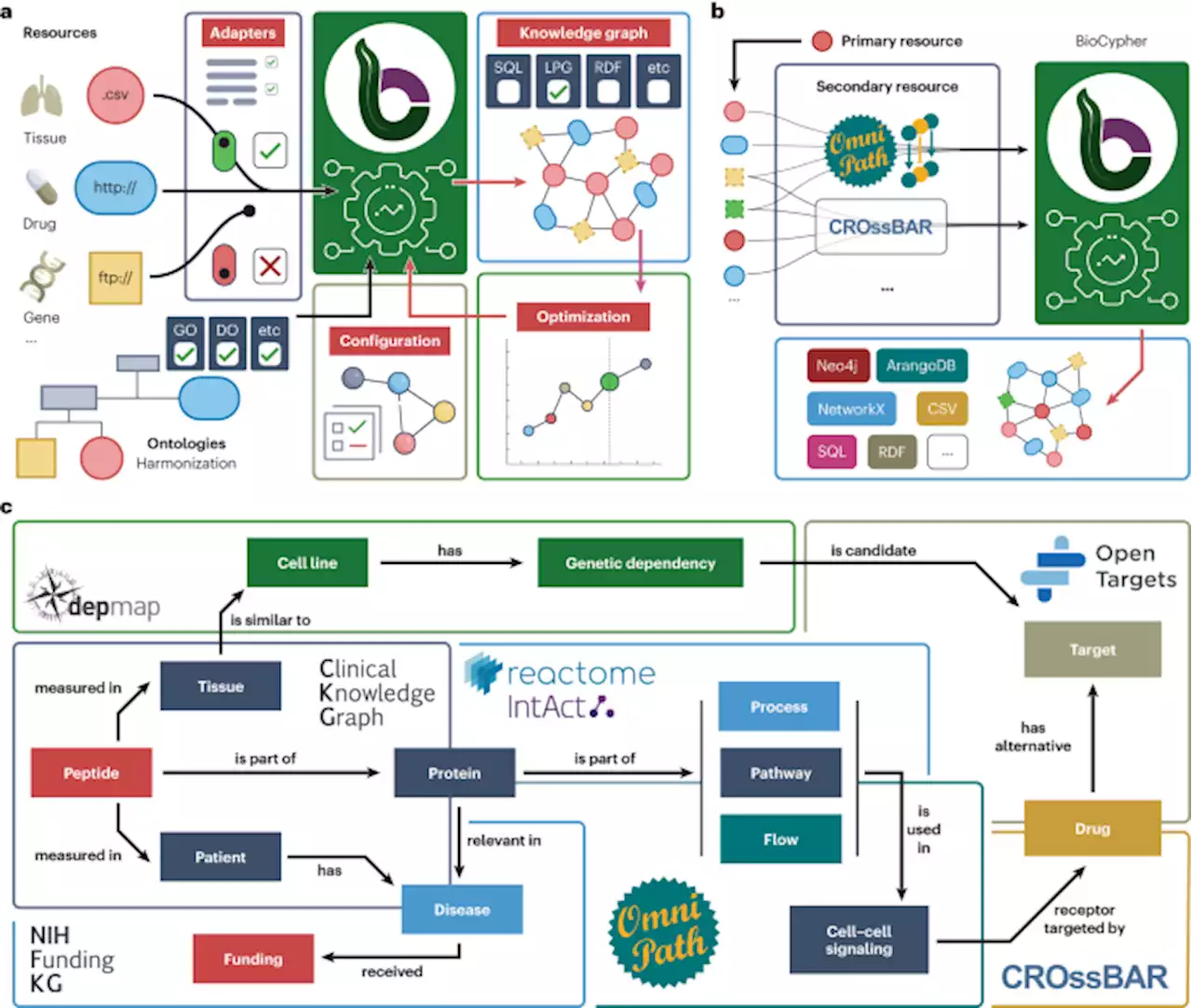 Democratizing knowledge representation with BioCypher - Nature Biotechnology