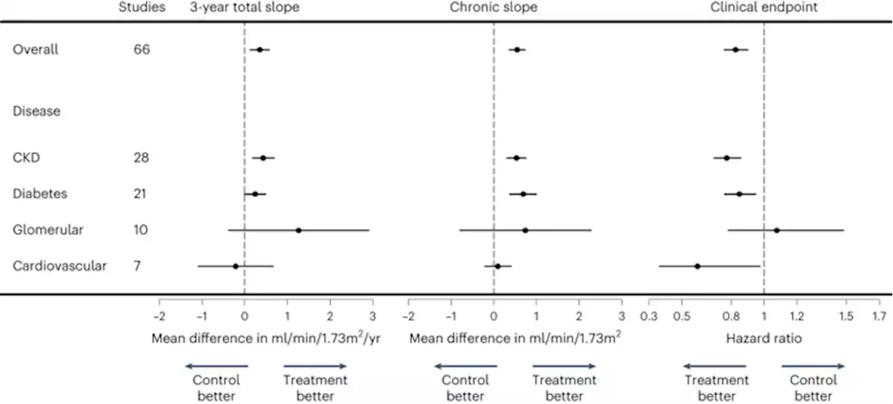 A meta-analysis of GFR slope as a surrogate endpoint for kidney failure - Nature Medicine