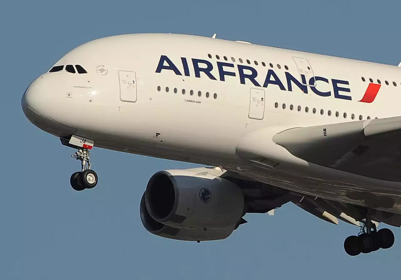 Air France sues JFK operator over passenger plane smash