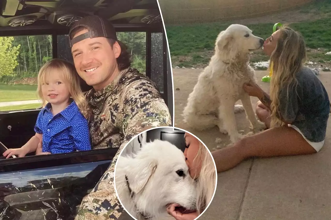 Morgan Wallen’s son rushed to ER after ex’s dog attacks child’s face