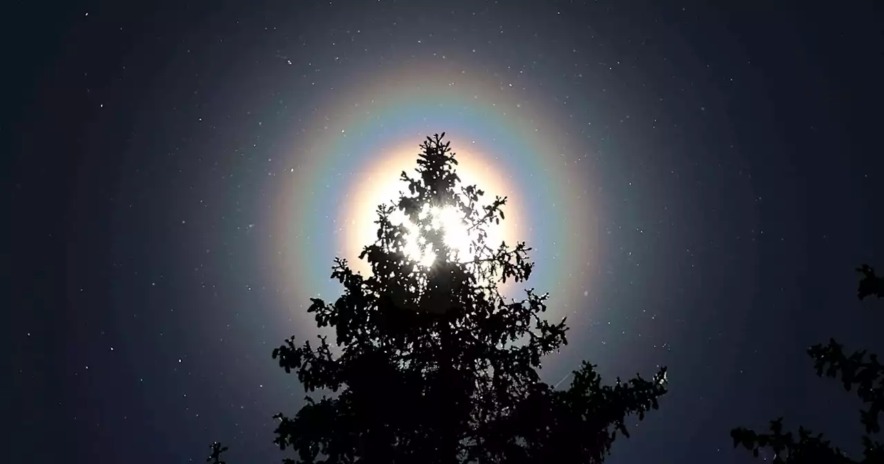 Intense Pollen Swarms Creates Rainbow Rings Around the Sun