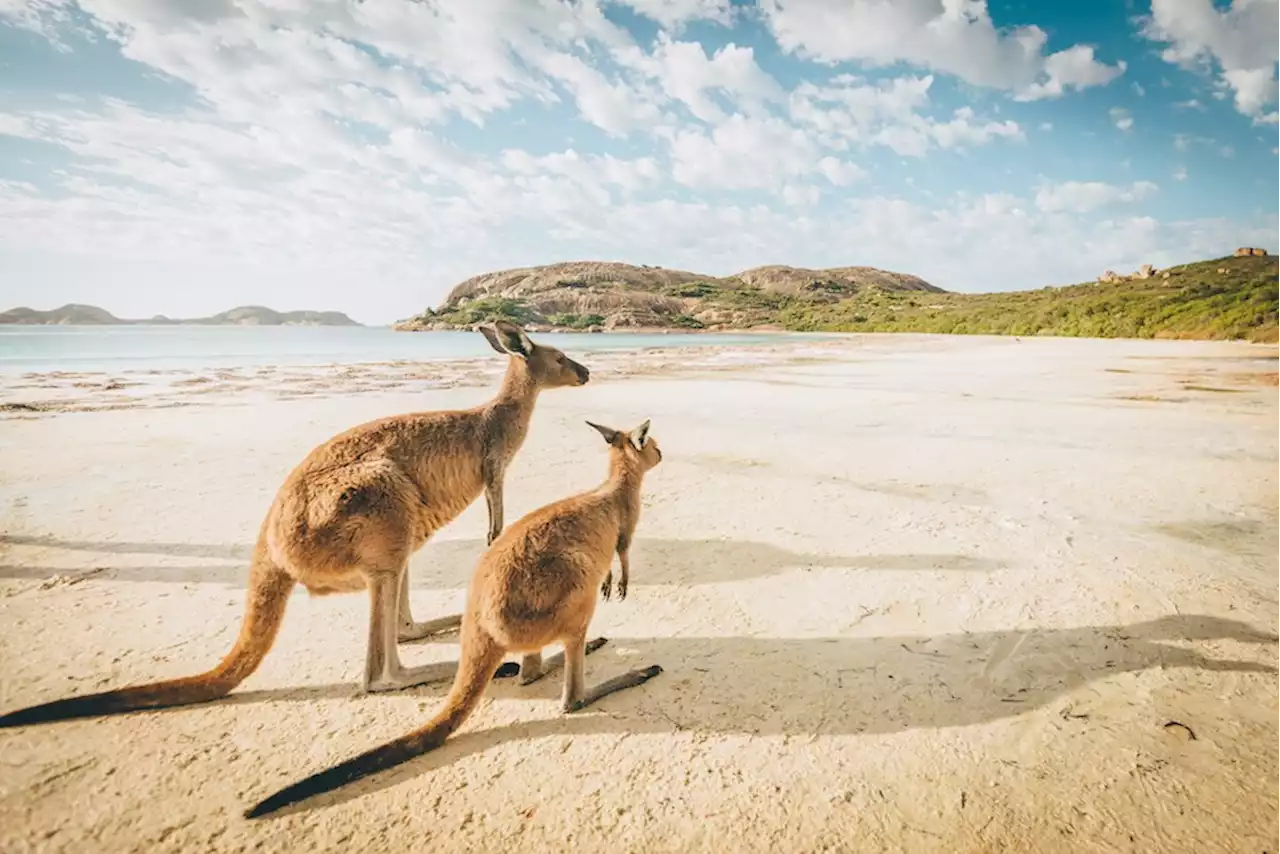 Hot deal: You can fly from Vancouver to Hawaii and Australia for half price