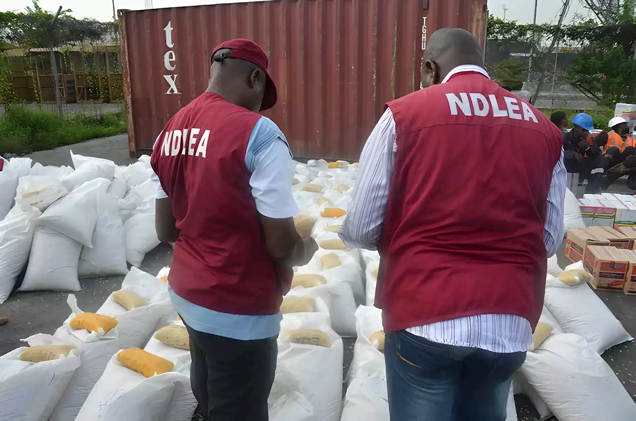 NDLEA secures 59 convictions in Akwa Ibom within a year