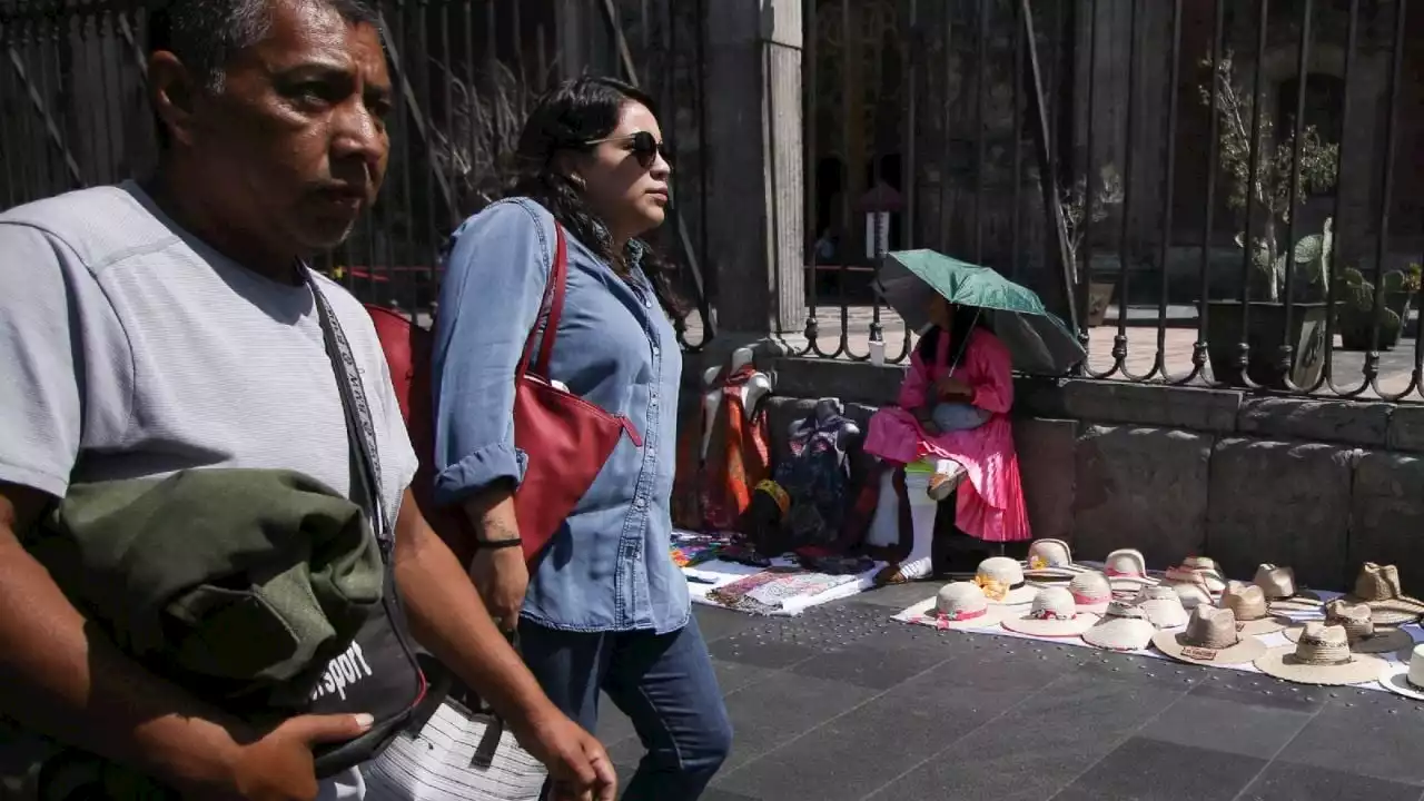 Toda esta semana seguirá la ola de calor: más de 45 grados en las siguientes entidades