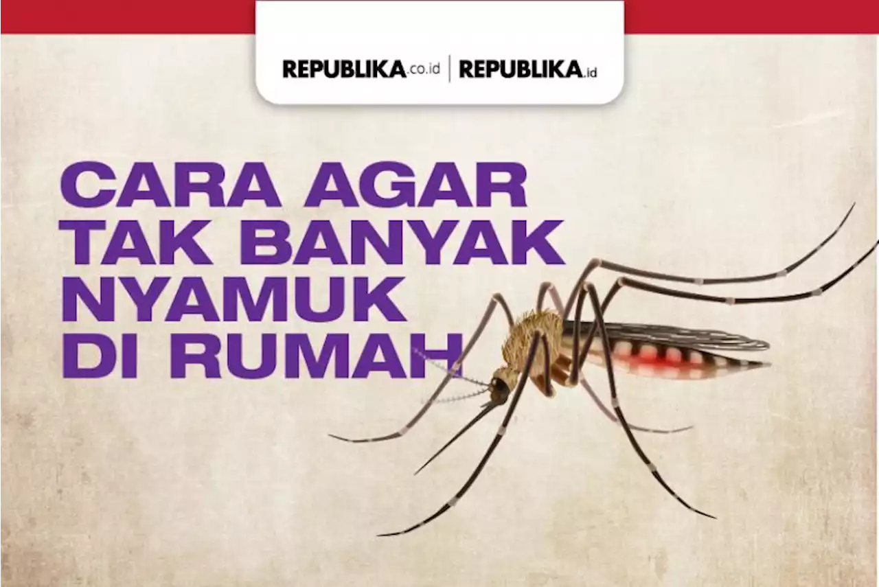 Infografis Cara Agar tak Banyak Nyamuk di Rumah |Republika Online