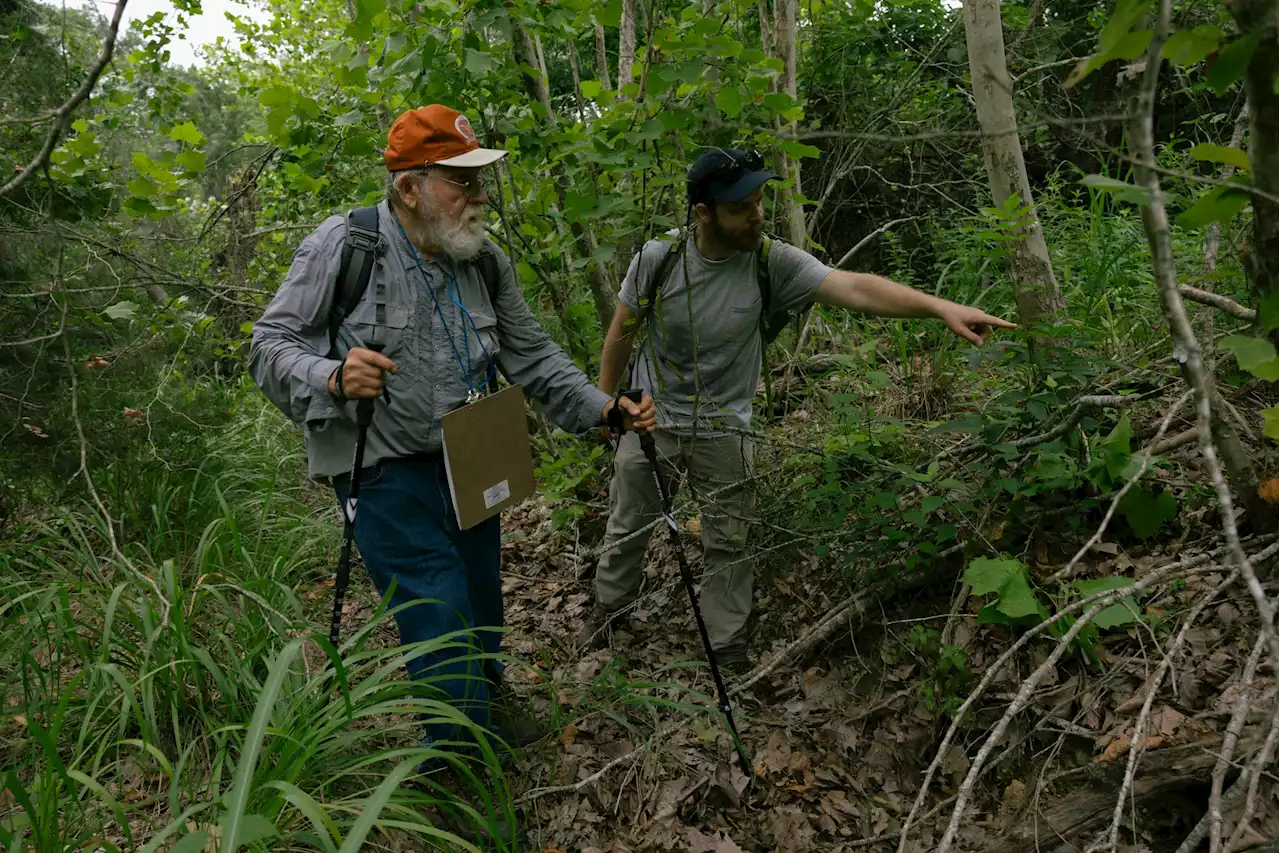 A look inside the Kronkosky State Natural Area as it takes shape