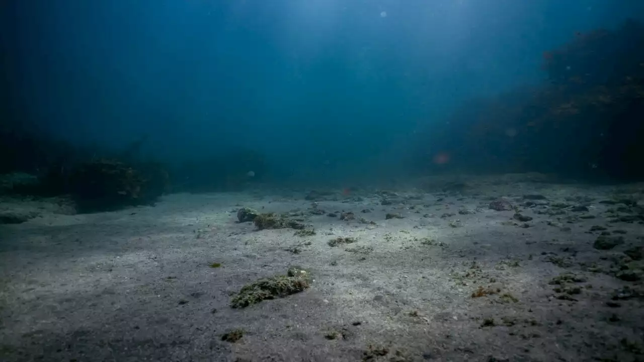 Missing submersible near Titanic wreck is a ‘problematic situation’