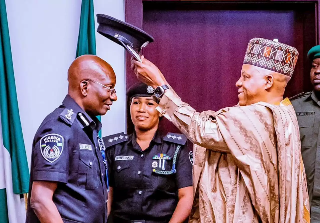 PHOTOS: Shettima decorates acting IGP Egbetokun with new rank