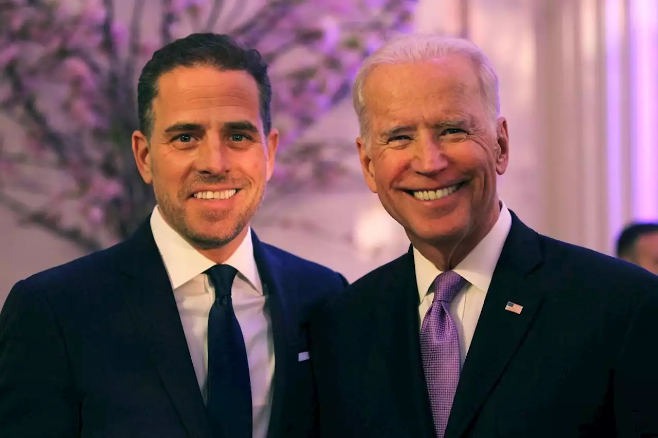 Hunter Biden, son of US president, to plead guilty to tax and weapons offences