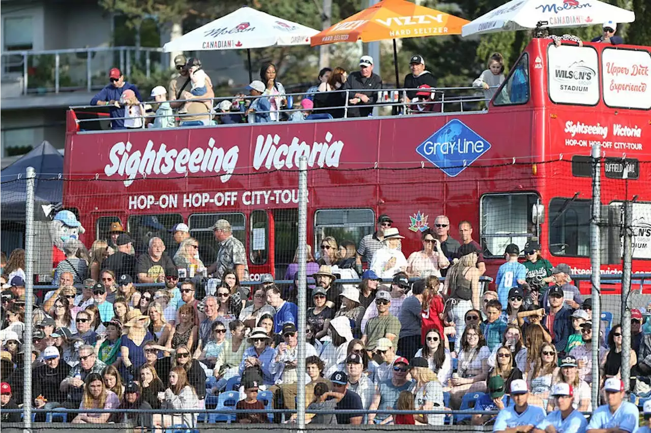 HarbourCats' streaks snapped by Pippins