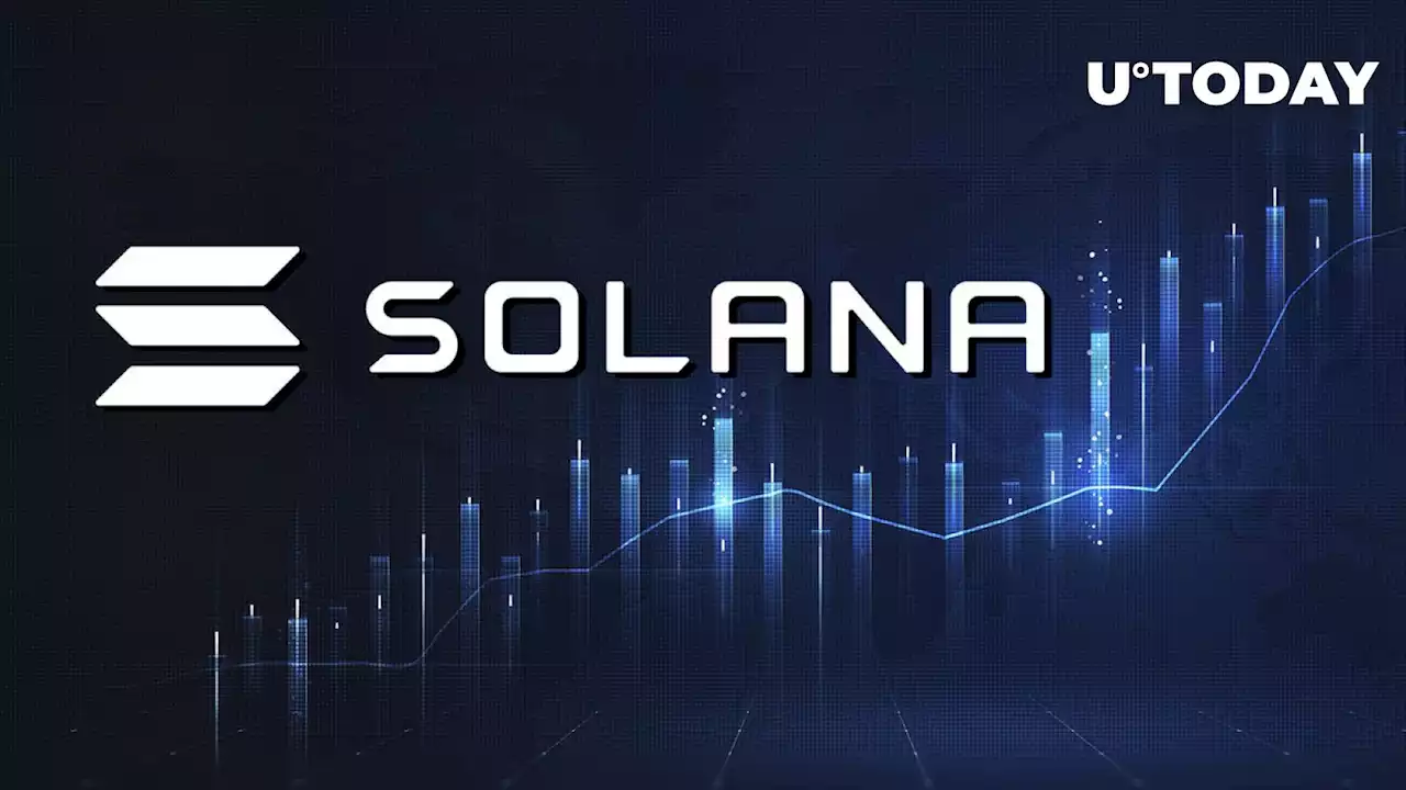 Solana (SOL) up 5% as Investors Focus on This Promising Niche: Details