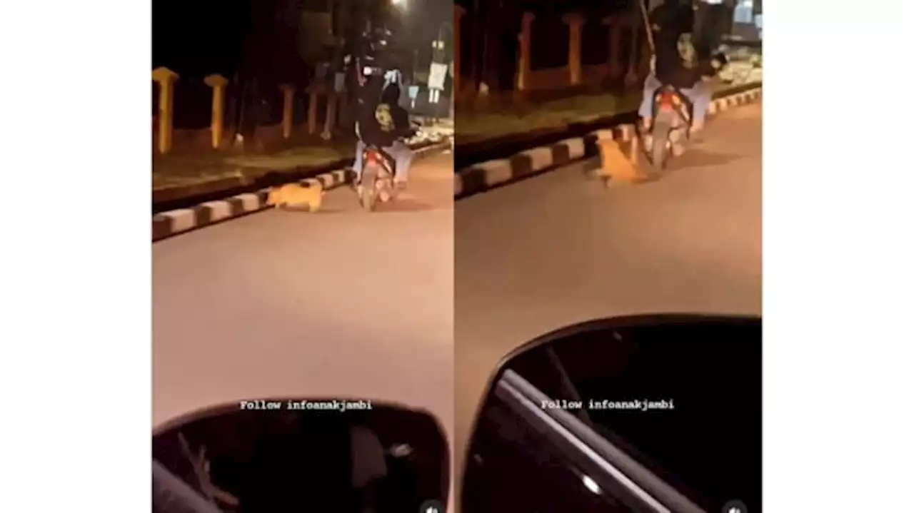 Viral Dua Orang Pemuda Menyeret Seekor Anjing Sambil Mengendarai Motor, Ahmad Sahroni: Geram